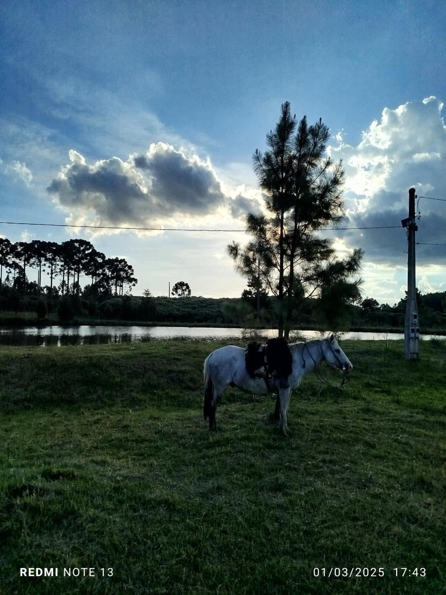 Encanto Das Araucarias Cambará Luaran gambar