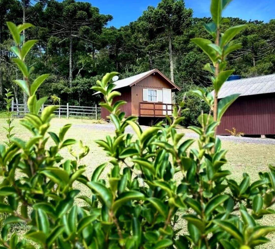 Encanto Das Araucarias Cambará Luaran gambar